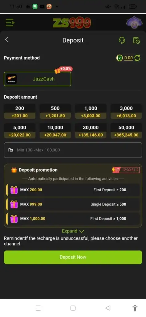 ZS999 Deposit Methods in Pakistan